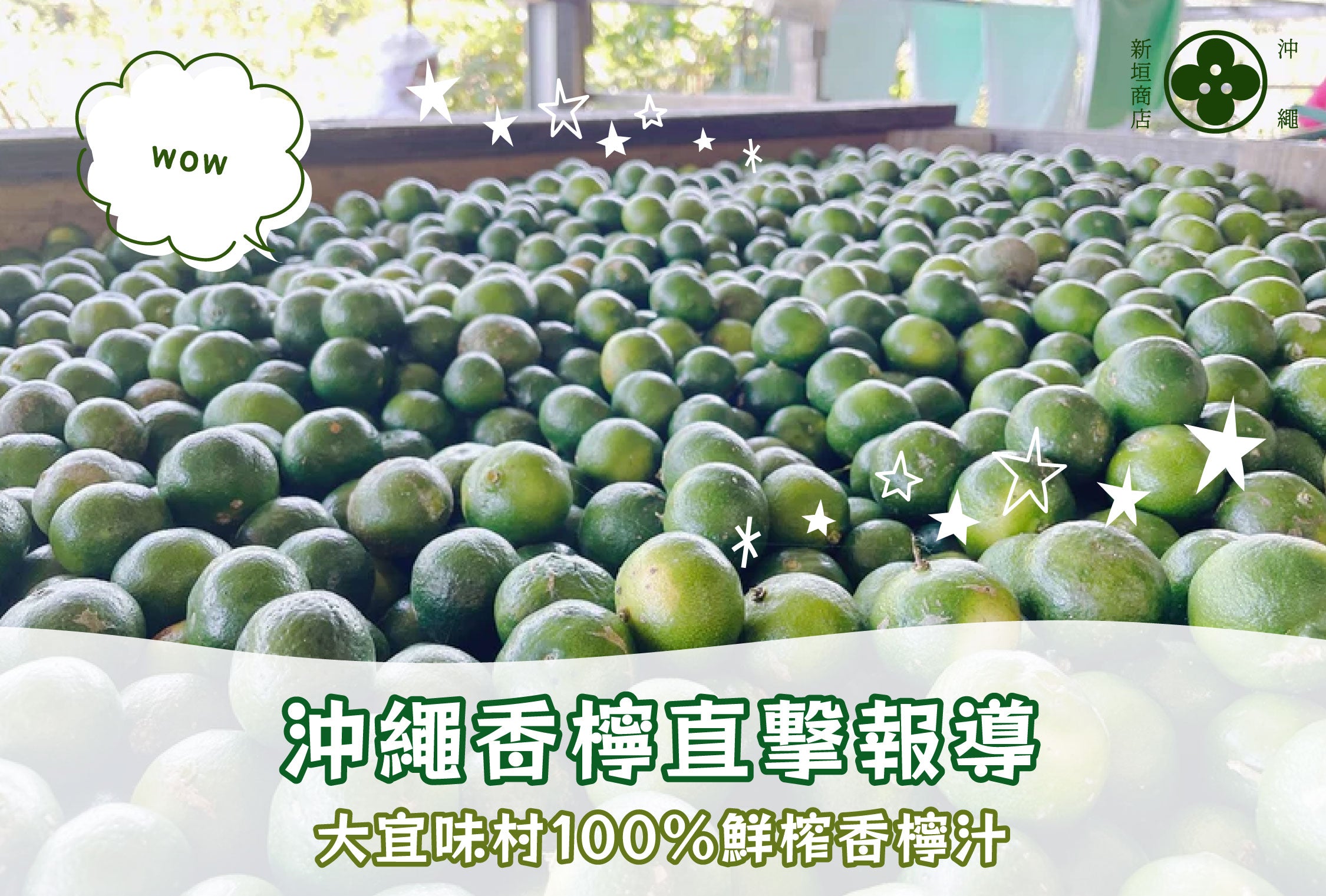 沖繩香檸直擊報導