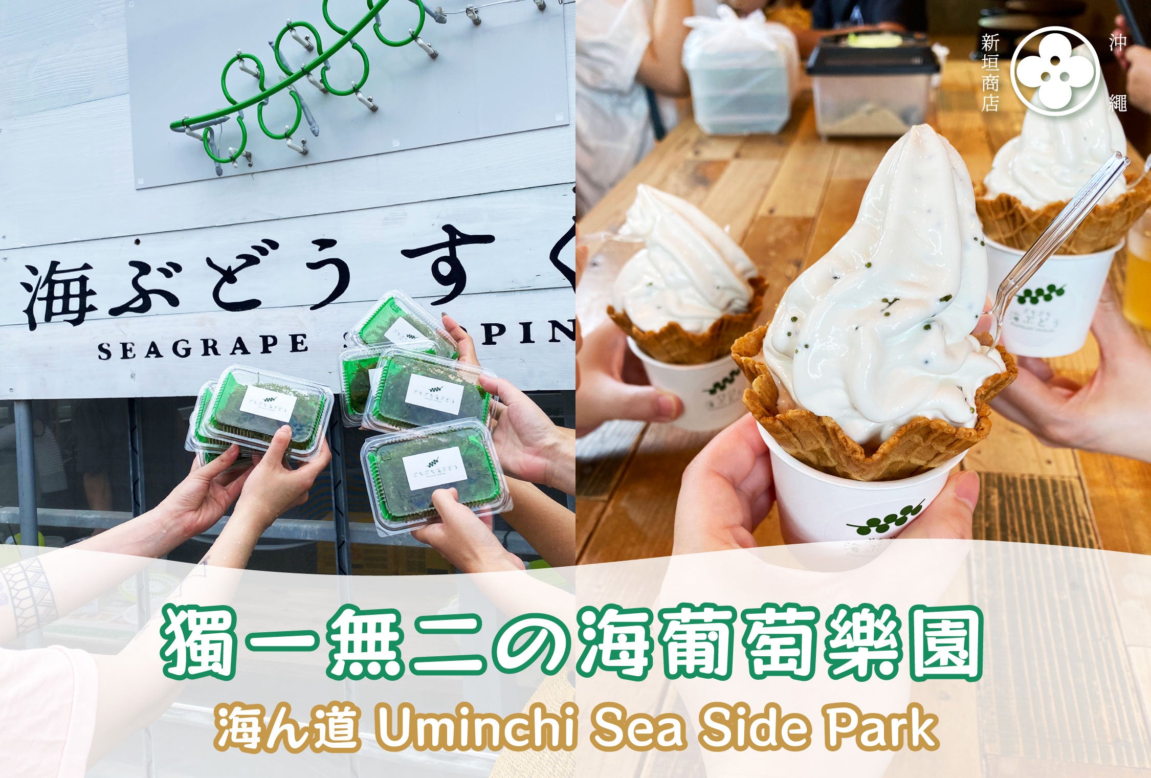 沖繩自駕遊推介!獨一無二嘅體驗~海葡萄園