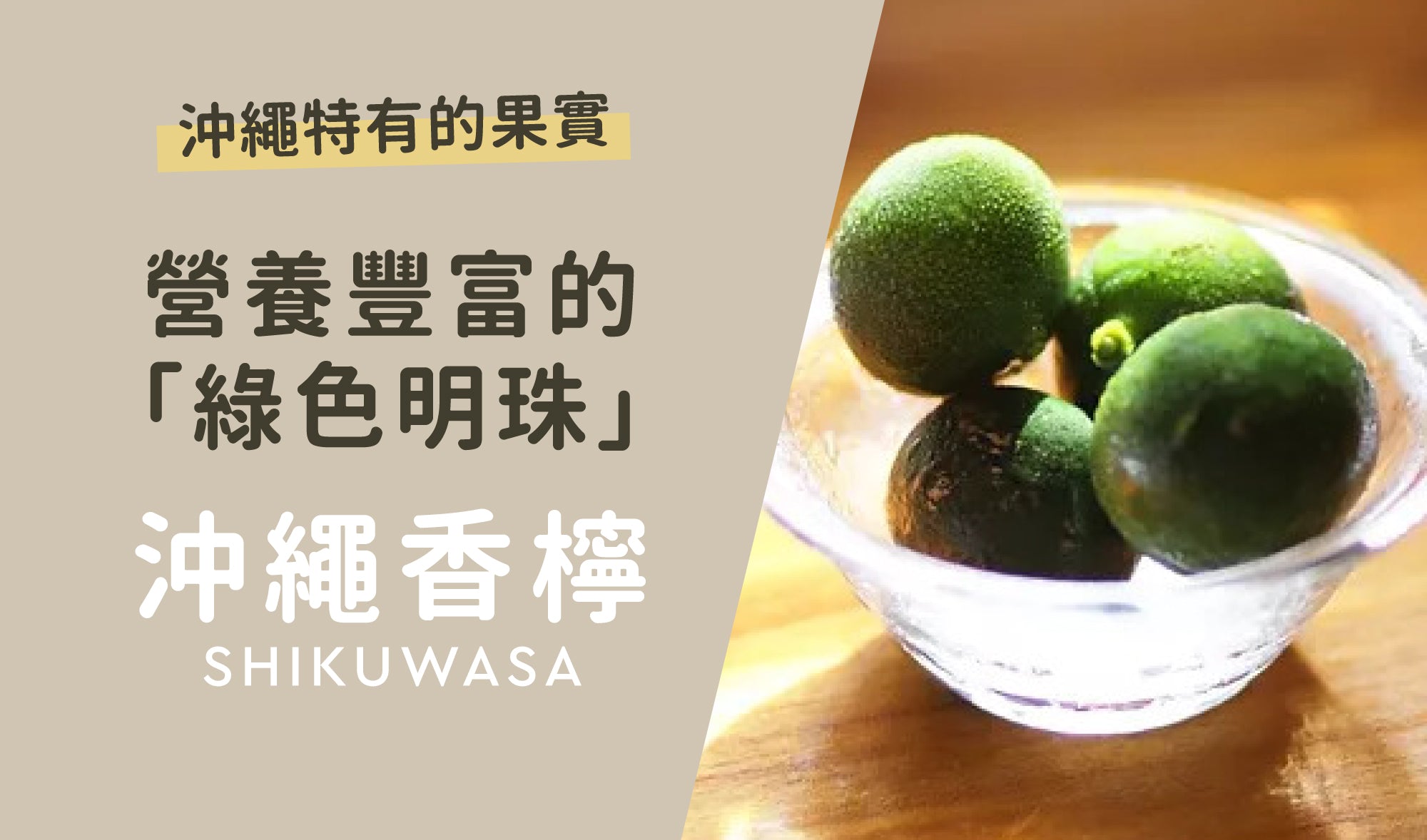 來自沖繩的綠色明珠🌟沖繩香檸