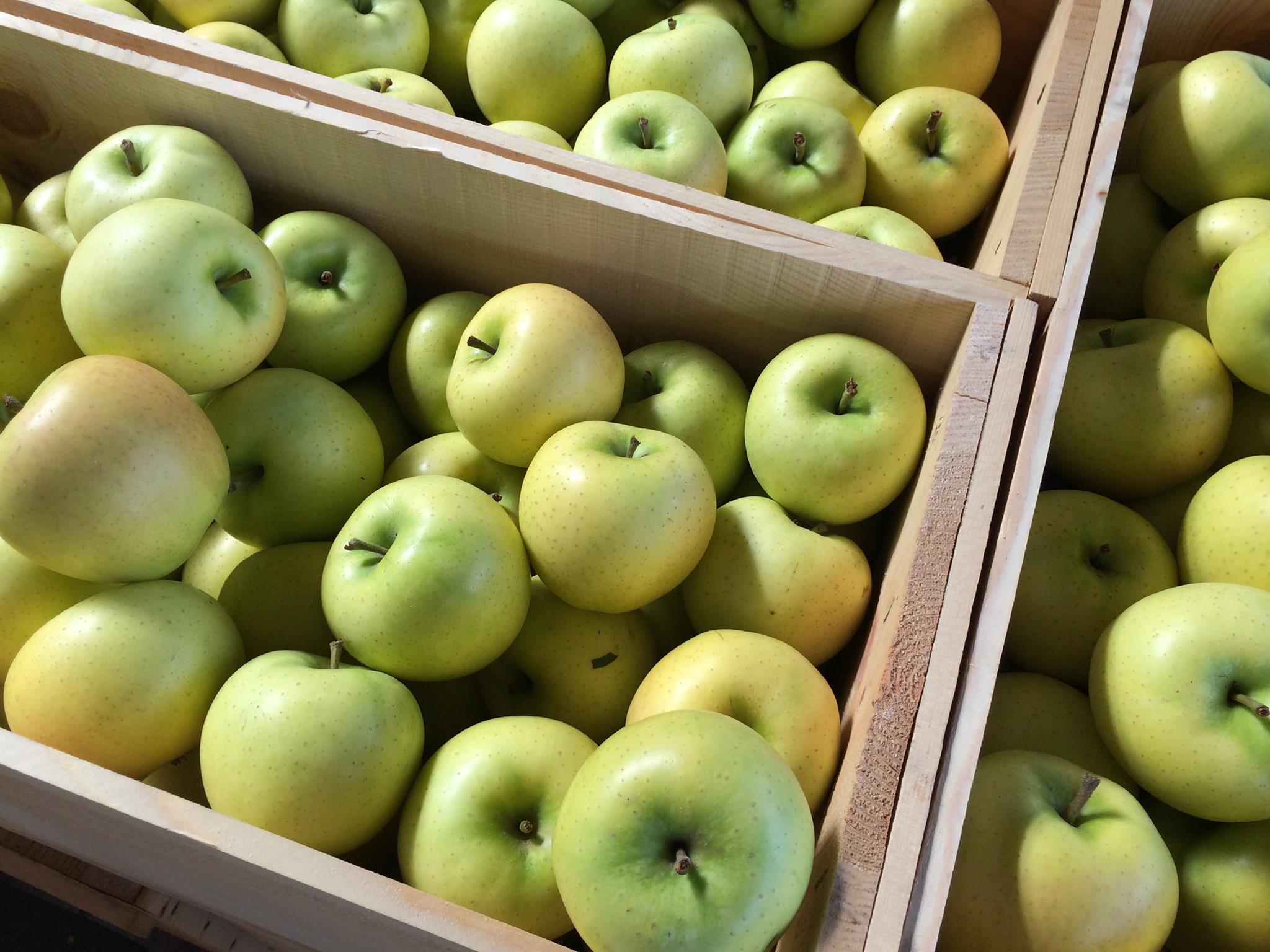 Apple&Snack Japan Aomori Prefecture Apple Crisps (No Additives) 45g