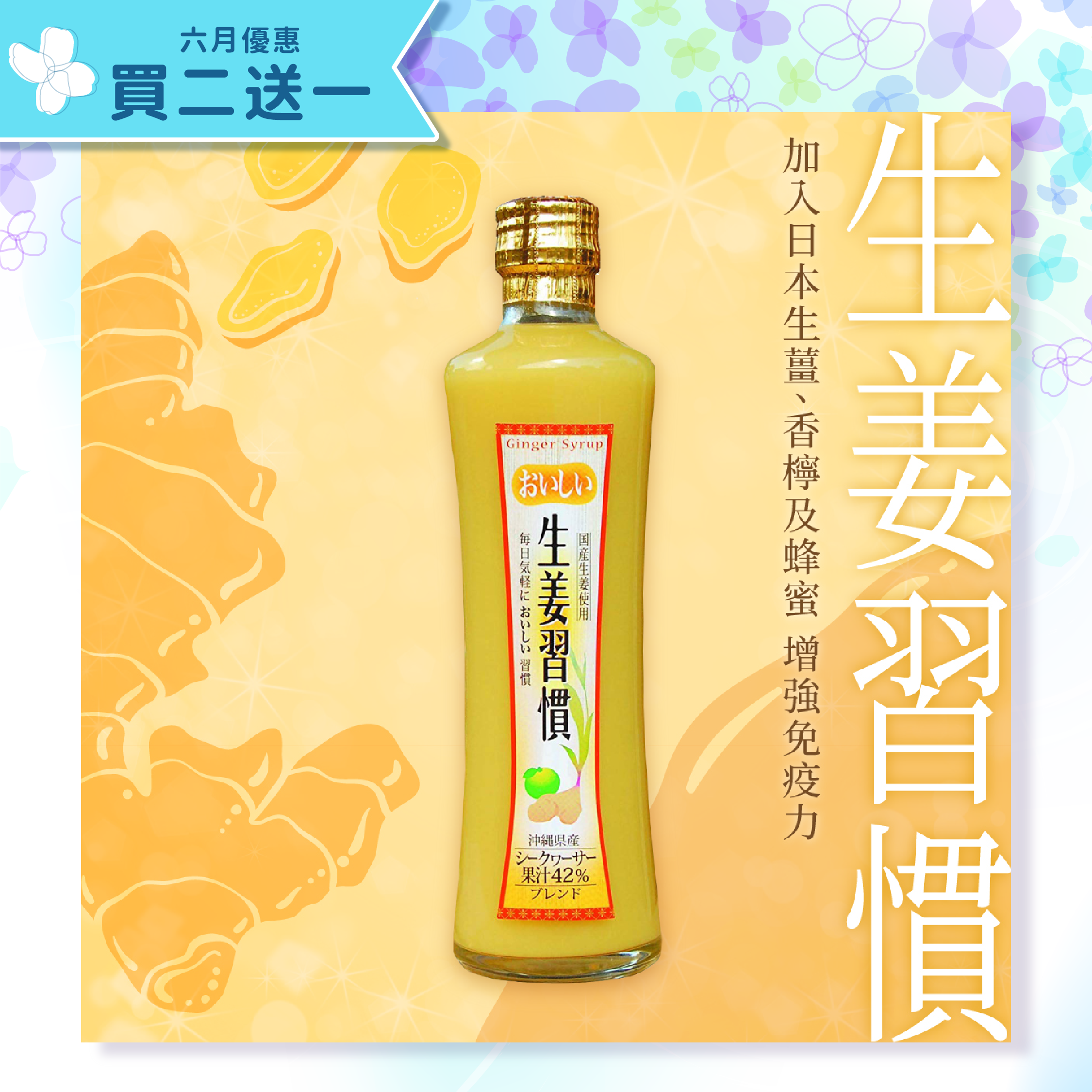 Ginger Lemon Concentrated Drink 300ml