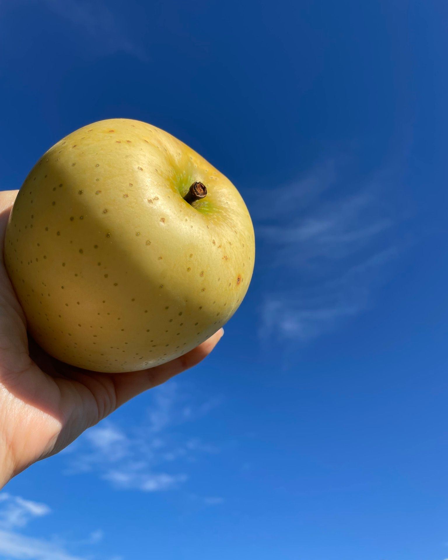 Apple&Snack Japan Aomori Prefecture Apple Crisps (No Additives) 45g