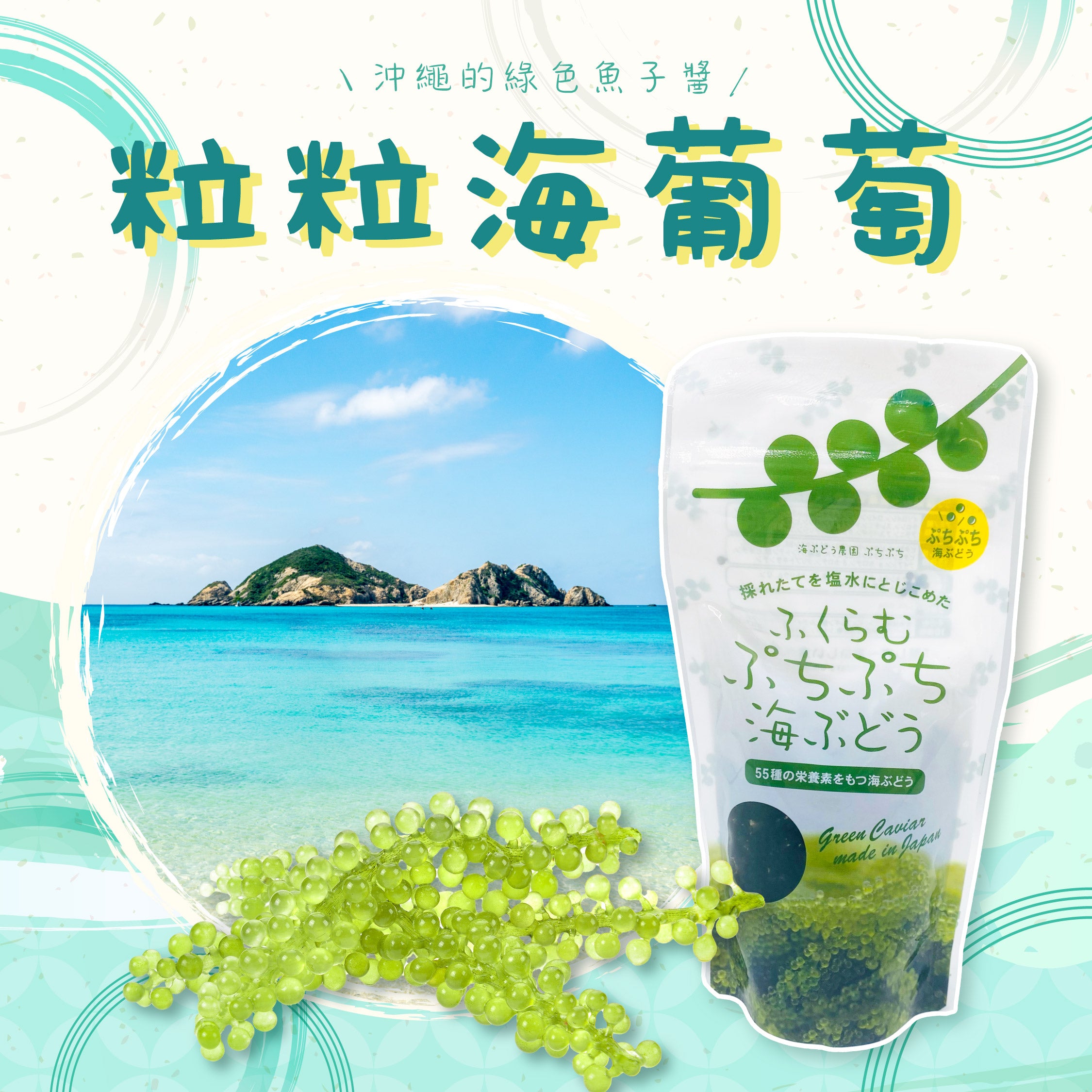 海葡萄, unibudou, 海ぶどう, 沖繩名物