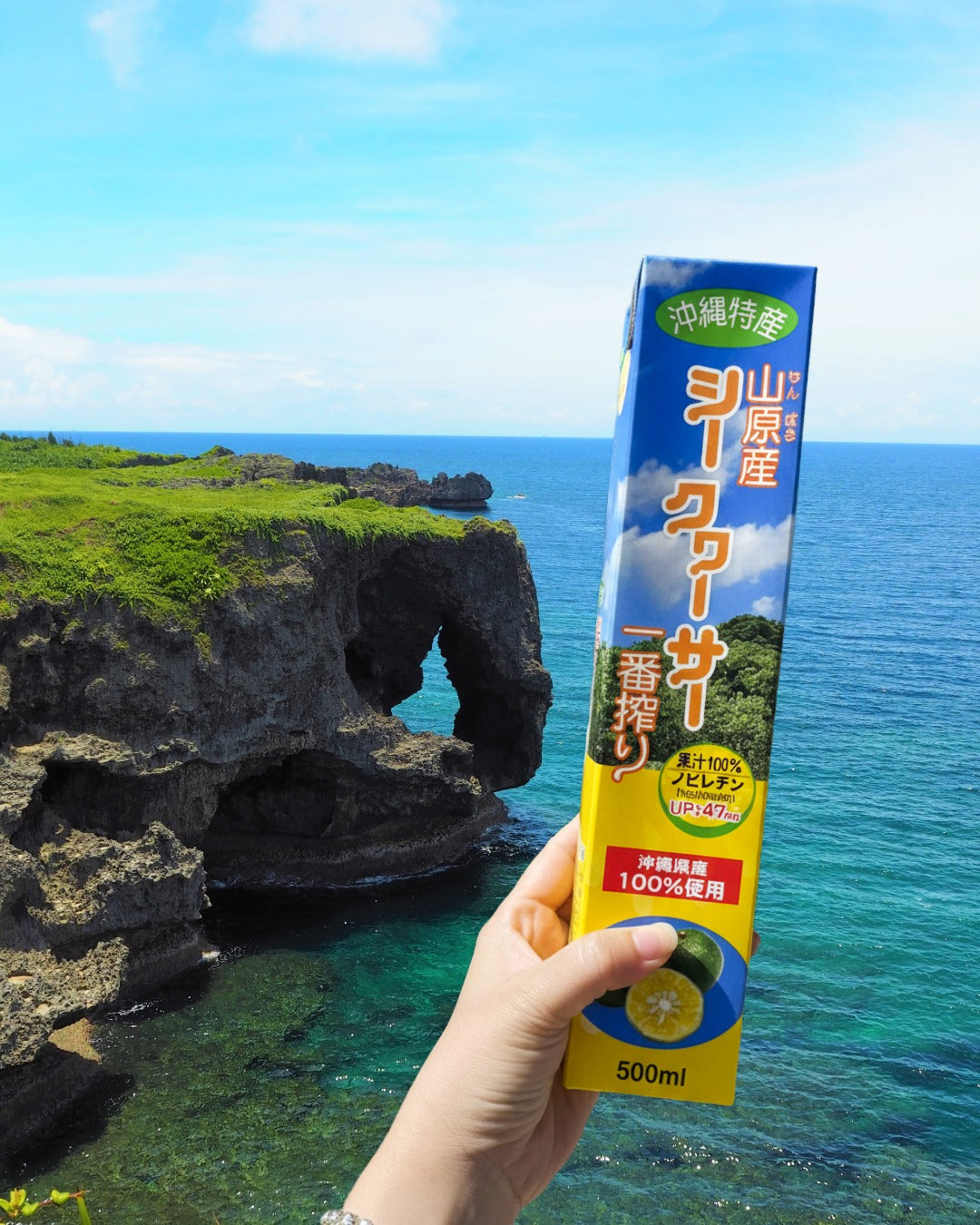 年末年始特別オファー | 2個購入で1個無料:北柳源山産 搾りたて100%グリーンライムジュース 500ml