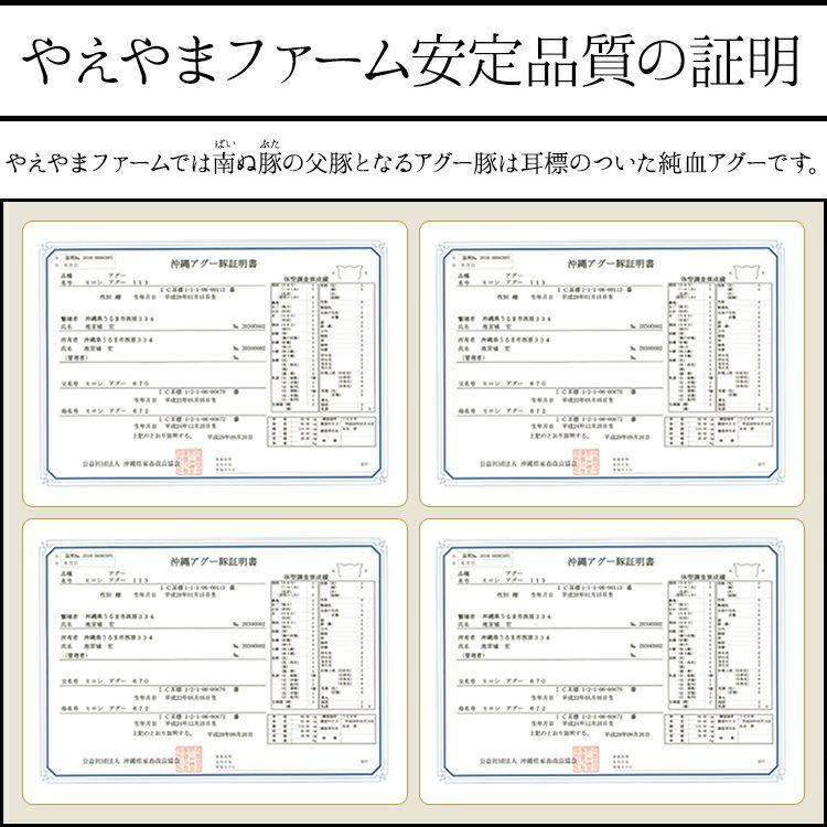 Painubuta Unsalted Mozuku flavor Pork Sausage 100g