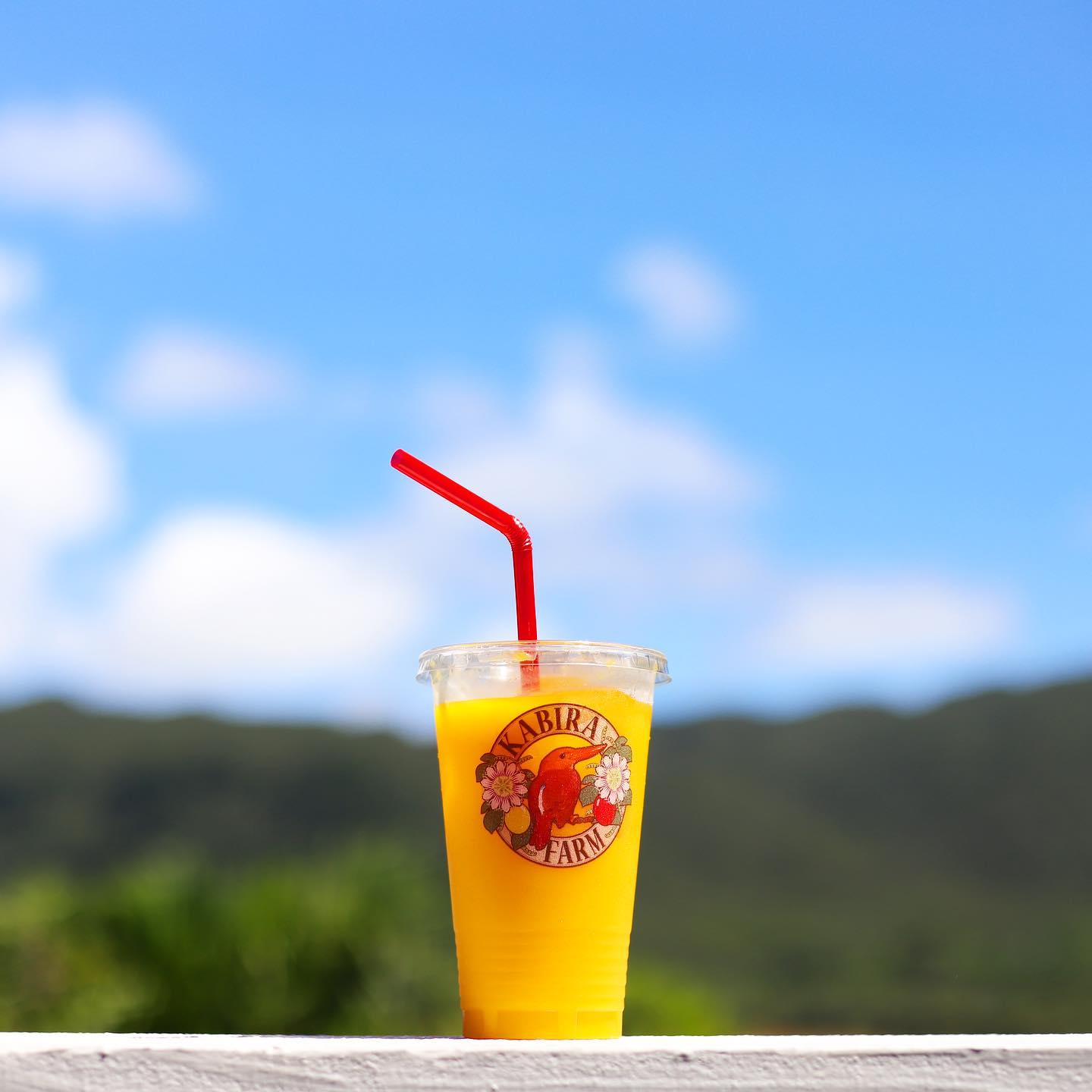 石垣島川平 - 天然芒果汁500mL