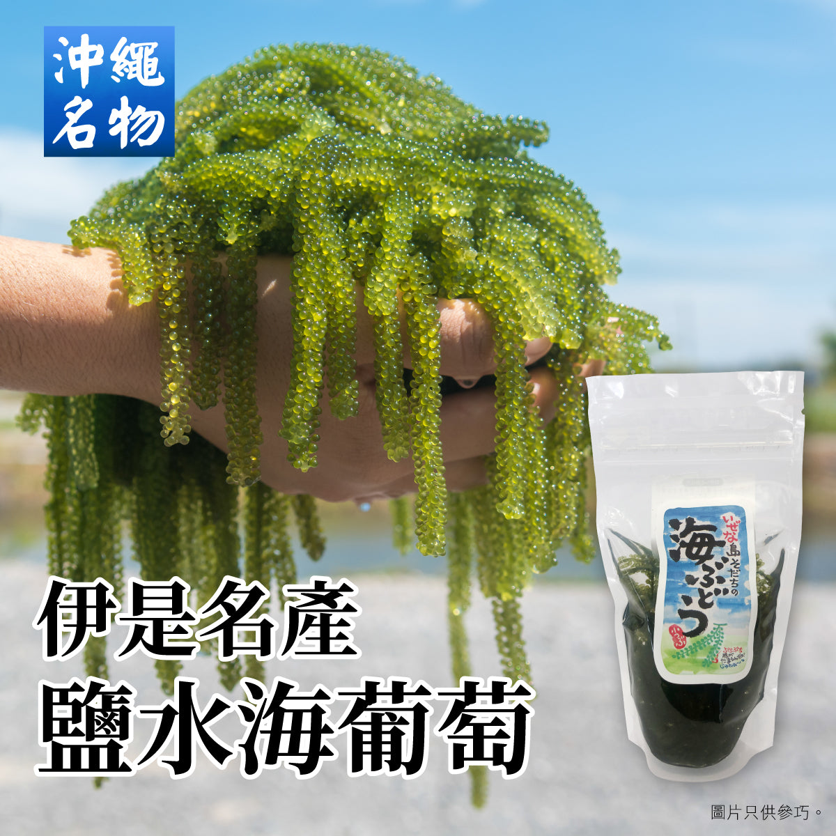 【買二送一】伊是名産鹽水海葡萄 60g 賞味期限:2026-01-20