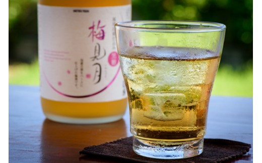 梅見月 - 黒糖泡盛梅酒 720ml