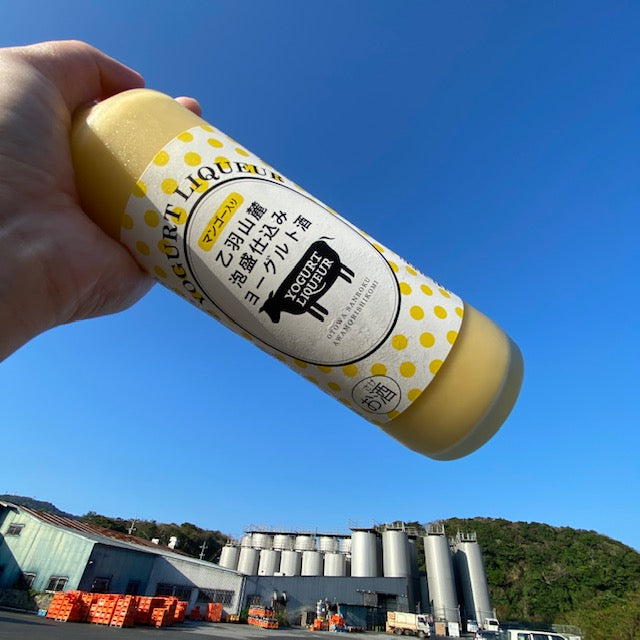 乙羽山麓 泡盛乳酪酒 芒果口味 500ml
