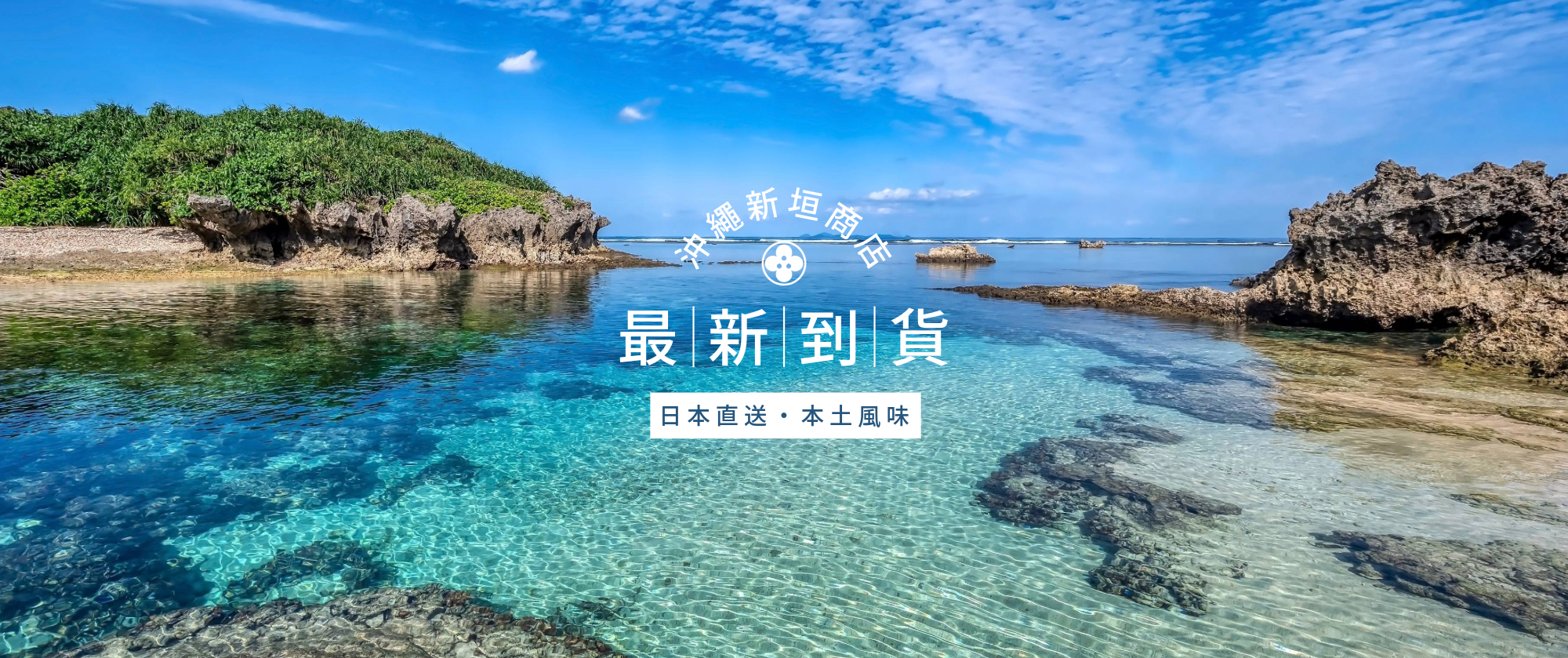 最新到貨 - New Arrival