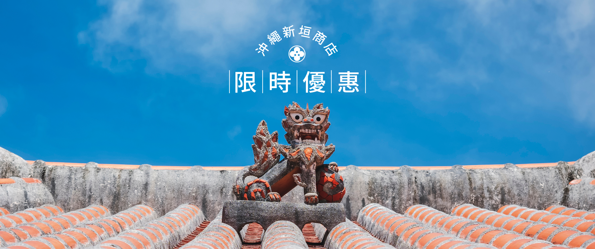 限時優惠 - Limited Time Offer