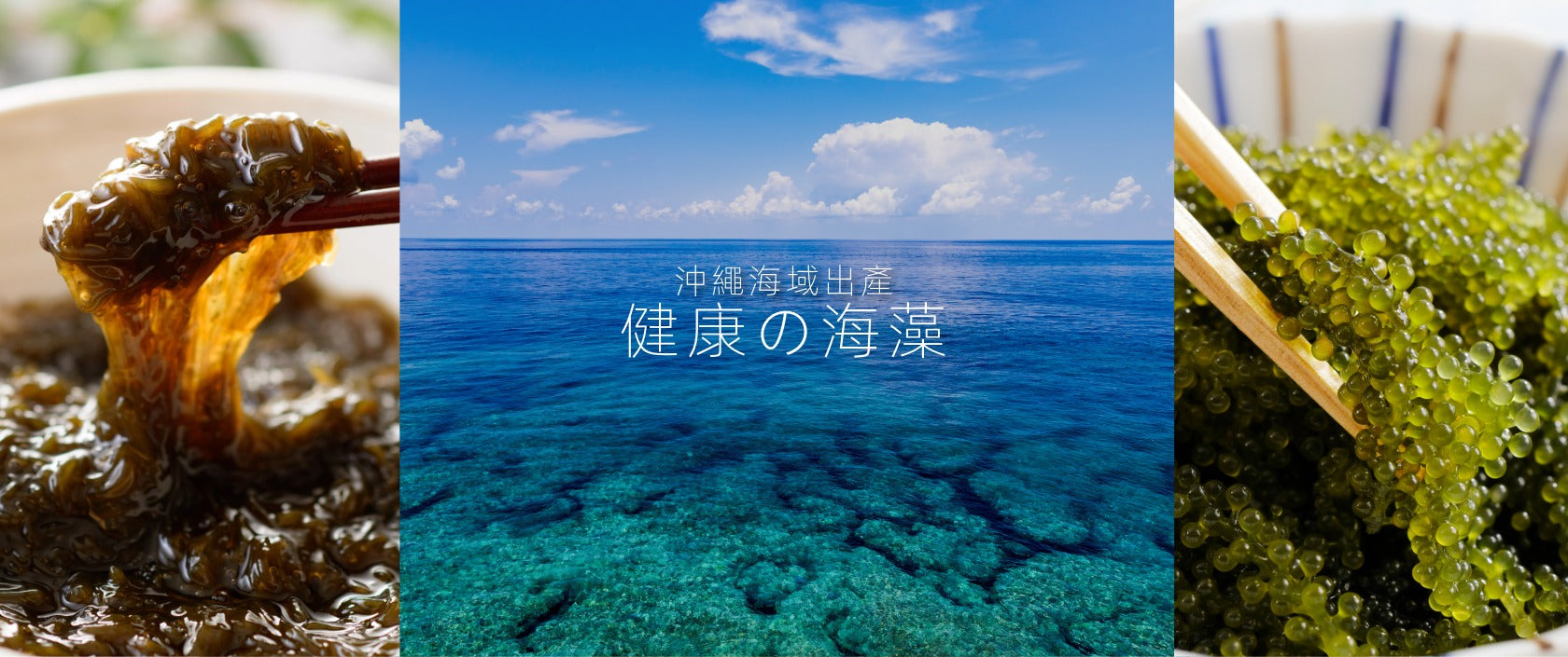 海藻專區 - Seaweed Specialty