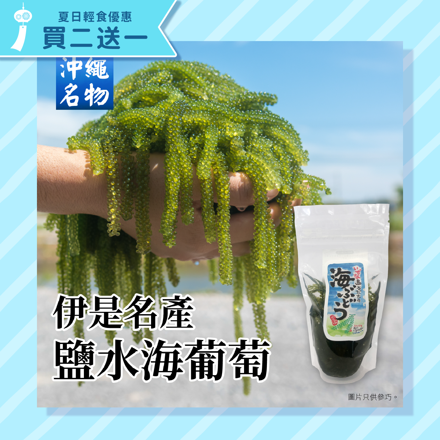 伊是名産鹽水海葡萄 60g