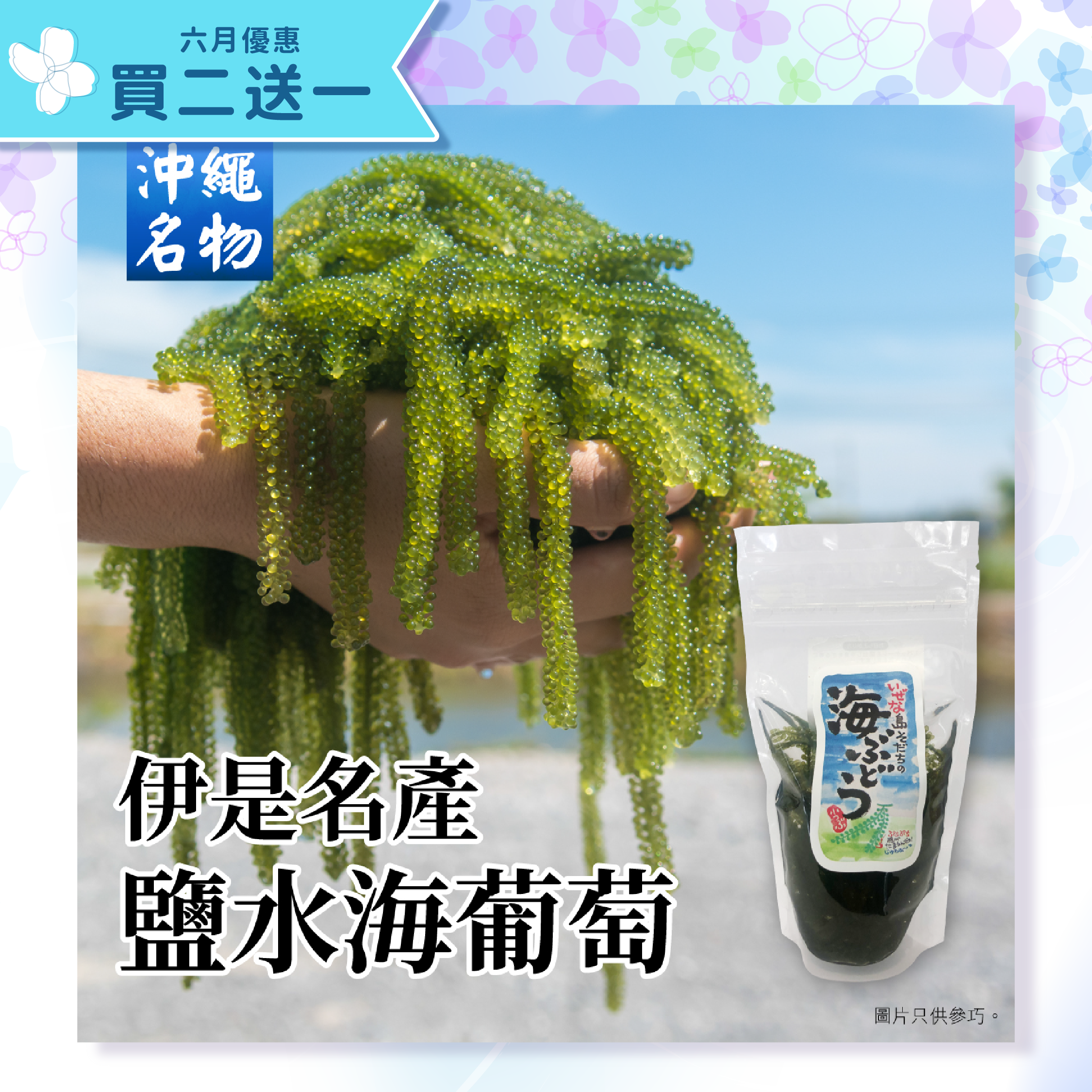 【買二送一】伊是名産鹽水海葡萄 60g