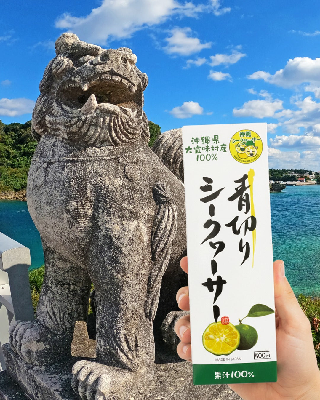 年末年始 🌸 特別優惠｜Aquamedical 大宜味村產100％青切香檸果汁 500ml 賞味期限 2026.06.30