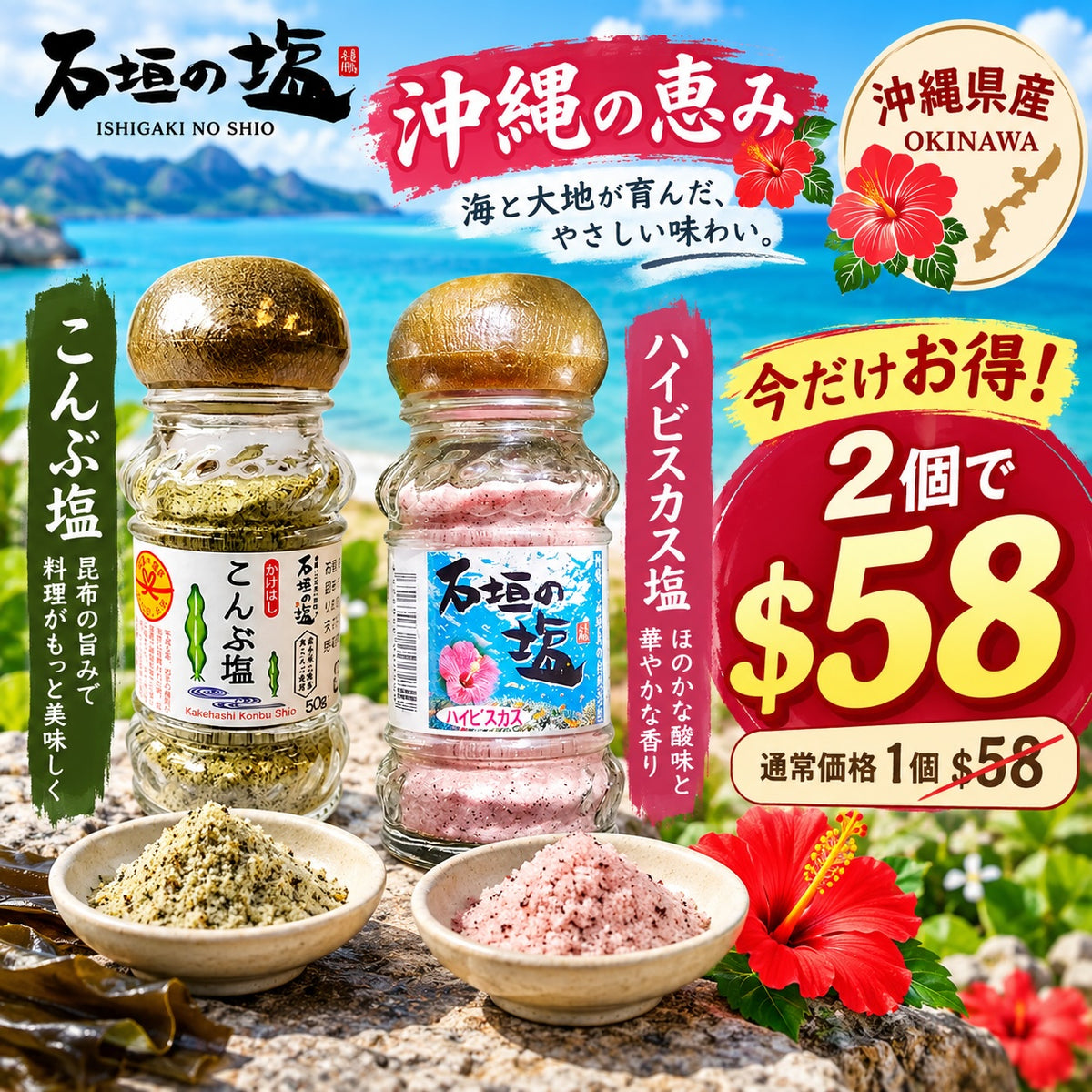 ⏰ 沖繩惜食祭・最佳賞味期優惠 🌺【買一送一・任選2包 HK$58】石垣島海鹽｜昆布鹽 50g／芙蓉花 60g　賞味期限：2026年10月15日