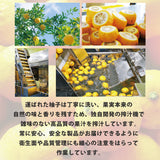 柚子5濃縮果汁 500ml